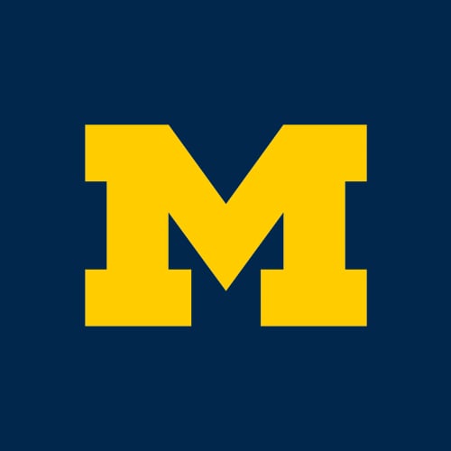 Michigan marketing and design project